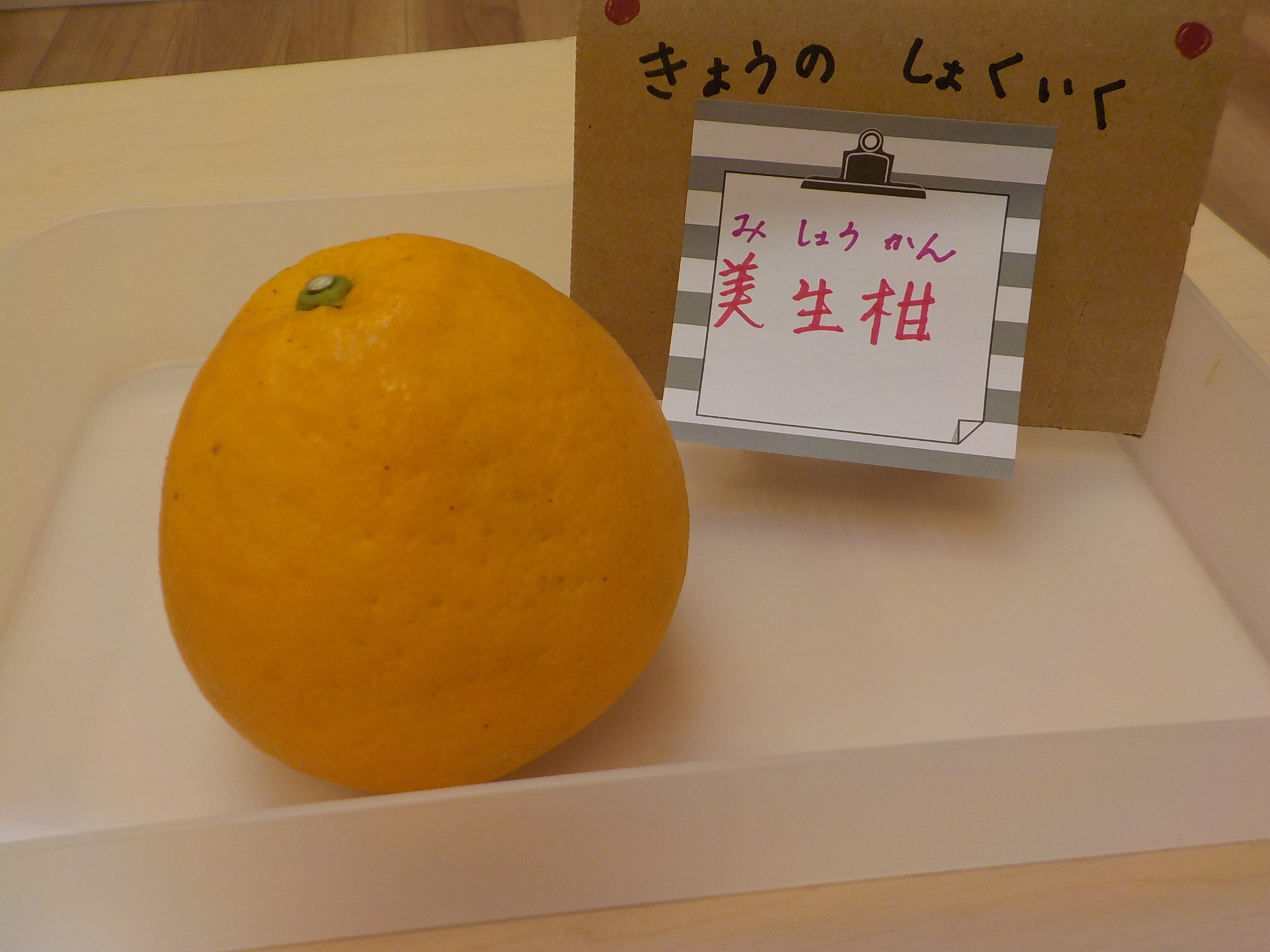 2025/6/10今月の食育