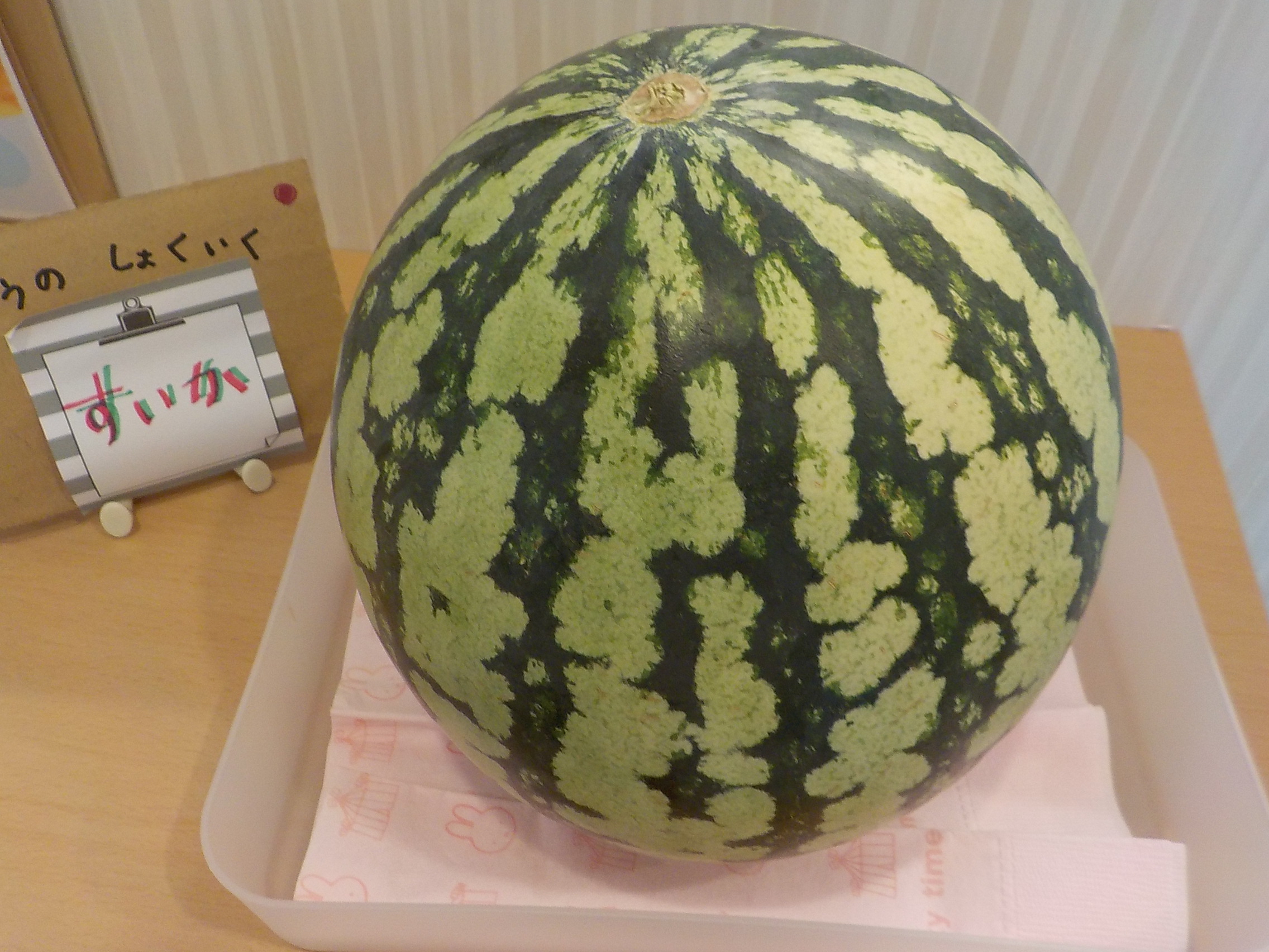 2025/8/22 　今月の食育